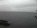 ./images/koeye/fitz-hugh/20180601/fitz-hugh20180601_222502.jpg