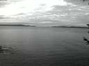 ./images/koeye/fitz-hugh/20180602/fitz-hugh20180602_042502.jpg