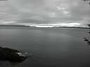 ./images/koeye/fitz-hugh/20180602/fitz-hugh20180602_072502.jpg