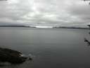 ./images/koeye/fitz-hugh/20180602/fitz-hugh20180602_074502.jpg