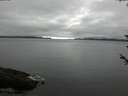 ./images/koeye/fitz-hugh/20180602/fitz-hugh20180602_075001.jpg