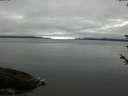./images/koeye/fitz-hugh/20180602/fitz-hugh20180602_075501.jpg