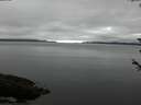 ./images/koeye/fitz-hugh/20180602/fitz-hugh20180602_080001.jpg