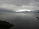 ./images/koeye/fitz-hugh/20180602/fitz-hugh20180602_085001.jpg