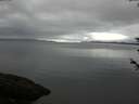 ./images/koeye/fitz-hugh/20180602/fitz-hugh20180602_085501.jpg