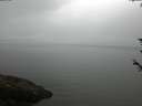 ./images/koeye/fitz-hugh/20180602/fitz-hugh20180602_091501.jpg