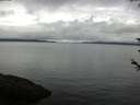 ./images/koeye/fitz-hugh/20180602/fitz-hugh20180602_093501.jpg