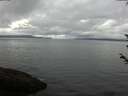 ./images/koeye/fitz-hugh/20180602/fitz-hugh20180602_105502.jpg