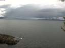 ./images/koeye/fitz-hugh/20180602/fitz-hugh20180602_130502.jpg