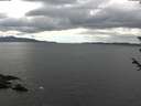 ./images/koeye/fitz-hugh/20180602/fitz-hugh20180602_150501.jpg