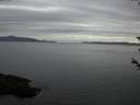 ./images/koeye/fitz-hugh/20180602/fitz-hugh20180602_220502.jpg