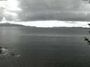 ./images/koeye/fitz-hugh/20180603/fitz-hugh20180603_044001.jpg