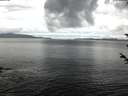 ./images/koeye/fitz-hugh/20180603/fitz-hugh20180603_050501.jpg