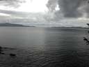 ./images/koeye/fitz-hugh/20180603/fitz-hugh20180603_051001.jpg