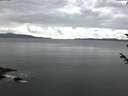 ./images/koeye/fitz-hugh/20180603/fitz-hugh20180603_060001.jpg