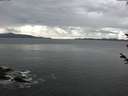 ./images/koeye/fitz-hugh/20180603/fitz-hugh20180603_060501.jpg