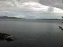 ./images/koeye/fitz-hugh/20180603/fitz-hugh20180603_063502.jpg