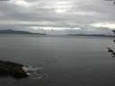 ./images/koeye/fitz-hugh/20180603/fitz-hugh20180603_074001.jpg
