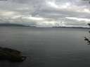 ./images/koeye/fitz-hugh/20180603/fitz-hugh20180603_082001.jpg