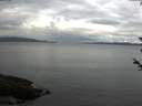 ./images/koeye/fitz-hugh/20180603/fitz-hugh20180603_083501.jpg
