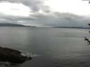 ./images/koeye/fitz-hugh/20180603/fitz-hugh20180603_085001.jpg