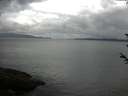 ./images/koeye/fitz-hugh/20180603/fitz-hugh20180603_090501.jpg