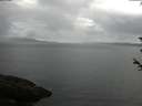 ./images/koeye/fitz-hugh/20180603/fitz-hugh20180603_094002.jpg