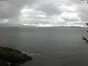 ./images/koeye/fitz-hugh/20180603/fitz-hugh20180603_094502.jpg