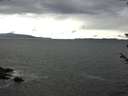 ./images/koeye/fitz-hugh/20180603/fitz-hugh20180603_160502.jpg