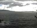 ./images/koeye/fitz-hugh/20180603/fitz-hugh20180603_173501.jpg