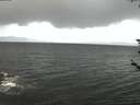 ./images/koeye/fitz-hugh/20180604/fitz-hugh20180604_044002.jpg