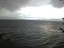 ./images/koeye/fitz-hugh/20180604/fitz-hugh20180604_044502.jpg
