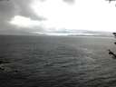./images/koeye/fitz-hugh/20180604/fitz-hugh20180604_045502.jpg