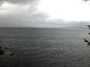 ./images/koeye/fitz-hugh/20180604/fitz-hugh20180604_051002.jpg