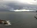 ./images/koeye/fitz-hugh/20180604/fitz-hugh20180604_072501.jpg