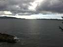 ./images/koeye/fitz-hugh/20180604/fitz-hugh20180604_141002.jpg
