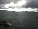 ./images/koeye/fitz-hugh/20180604/fitz-hugh20180604_144501.jpg