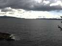 ./images/koeye/fitz-hugh/20180604/fitz-hugh20180604_153501.jpg