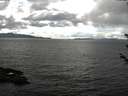 ./images/koeye/fitz-hugh/20180604/fitz-hugh20180604_155501.jpg