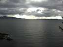 ./images/koeye/fitz-hugh/20180604/fitz-hugh20180604_164502.jpg