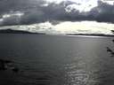 ./images/koeye/fitz-hugh/20180604/fitz-hugh20180604_174501.jpg