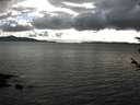 ./images/koeye/fitz-hugh/20180604/fitz-hugh20180604_184501.jpg