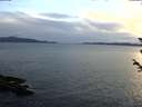 ./images/koeye/fitz-hugh/20180604/fitz-hugh20180604_212001.jpg