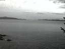 ./images/koeye/fitz-hugh/20180605/fitz-hugh20180605_042502.jpg