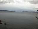 ./images/koeye/fitz-hugh/20180605/fitz-hugh20180605_044501.jpg