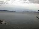./images/koeye/fitz-hugh/20180605/fitz-hugh20180605_045001.jpg
