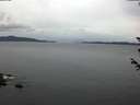 ./images/koeye/fitz-hugh/20180605/fitz-hugh20180605_052501.jpg