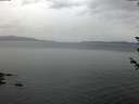 ./images/koeye/fitz-hugh/20180605/fitz-hugh20180605_054001.jpg