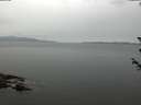 ./images/koeye/fitz-hugh/20180605/fitz-hugh20180605_074501.jpg
