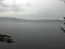 ./images/koeye/fitz-hugh/20180605/fitz-hugh20180605_075501.jpg